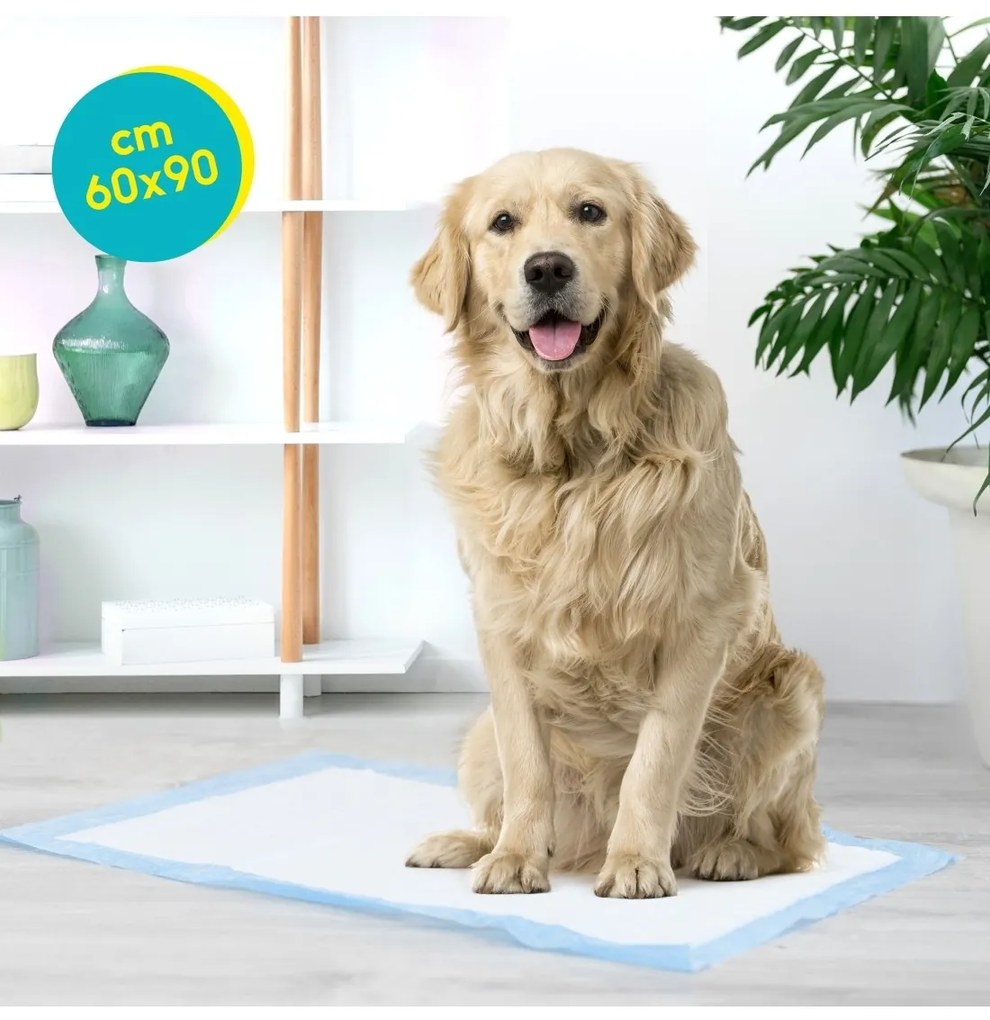 Covorase absorbante Tapiss - 60x90cm(50buc.)