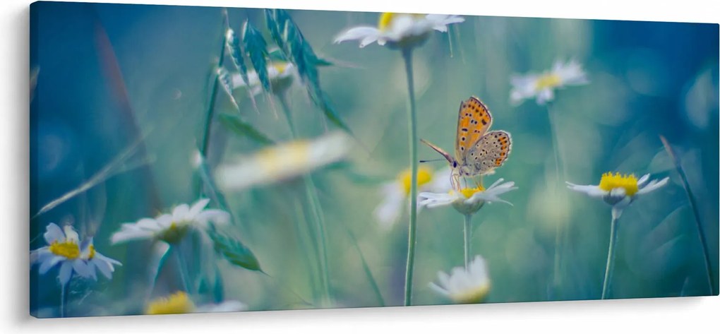 Tablou - Fluture pe margaretă (120x50 cm)