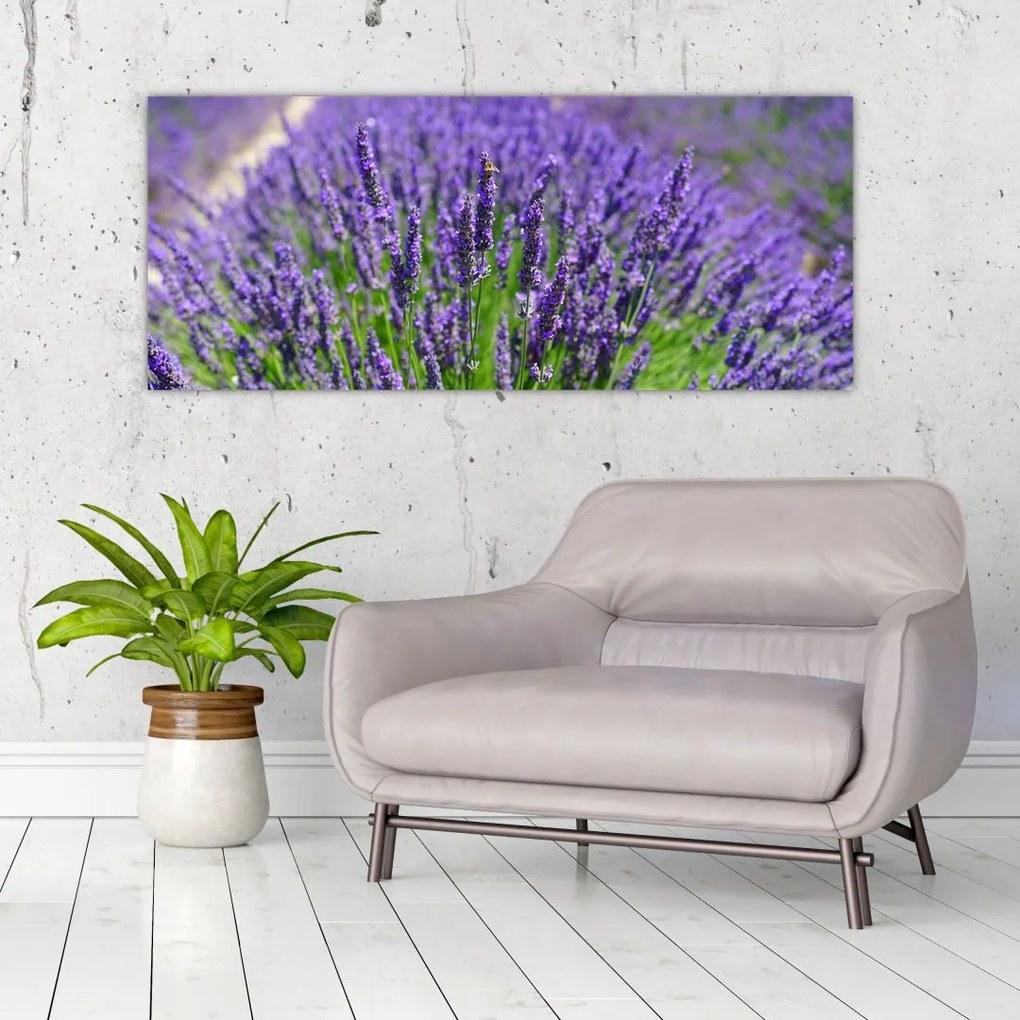 Tablou - lavanda (120x50 cm)