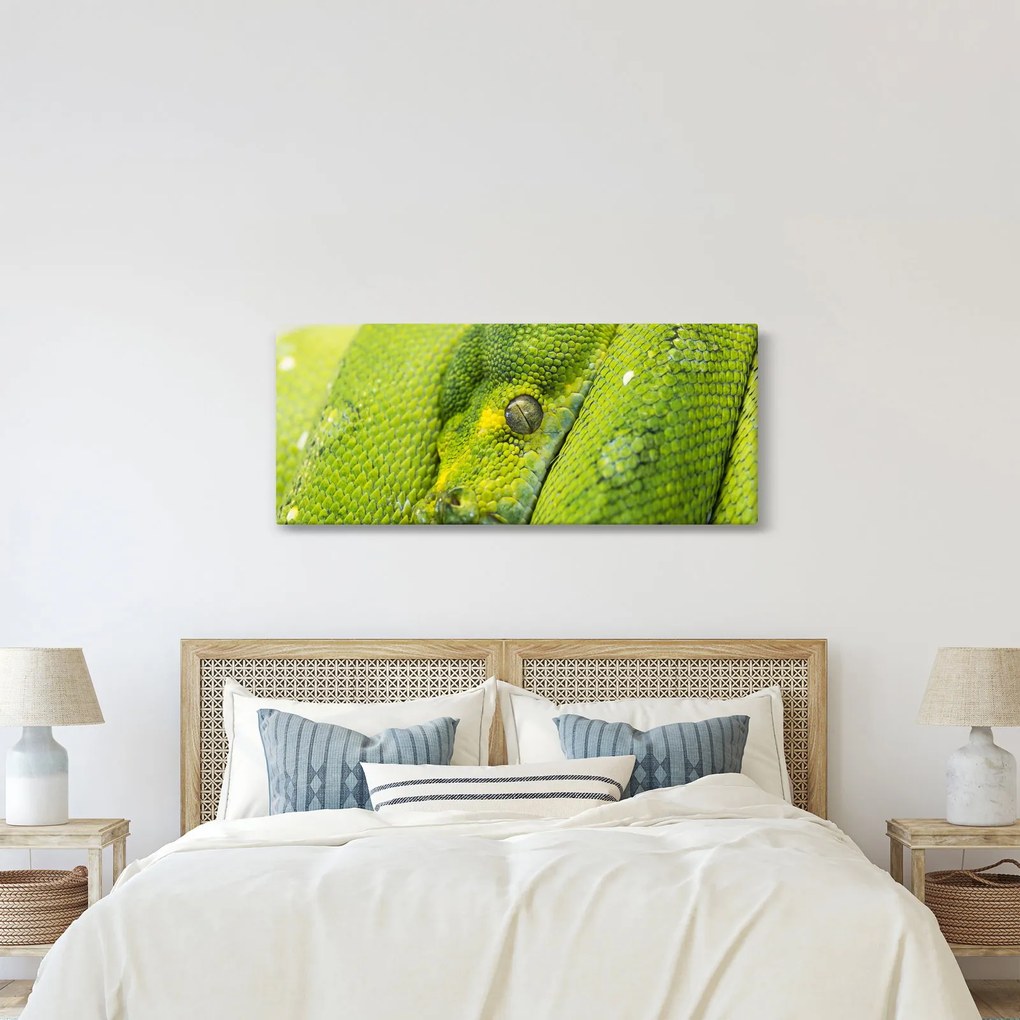 Tablou cu șarpe (120x50 cm)