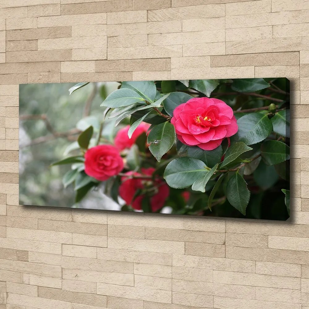 Tablou canvas Camelia