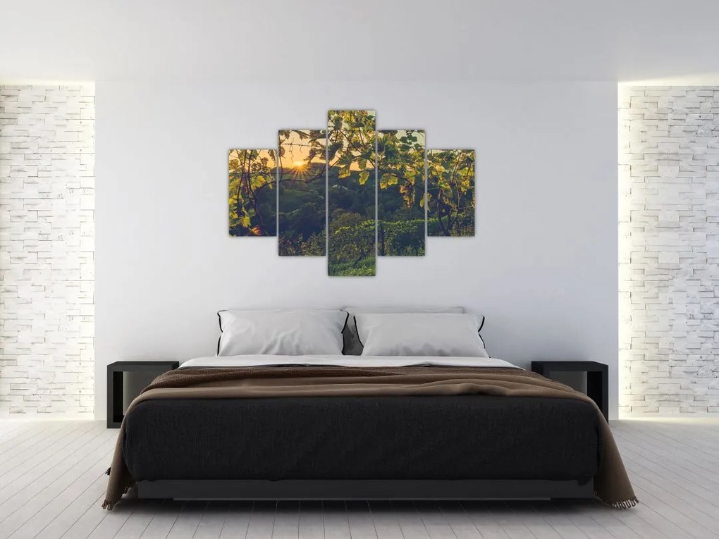 Tablou - Podgorii (150x105 cm)