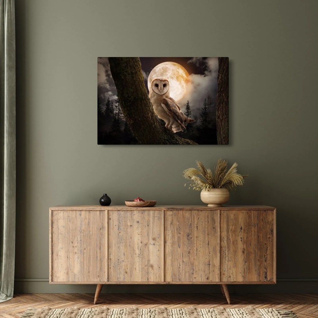 Tablou cu bufnița (90x60 cm)