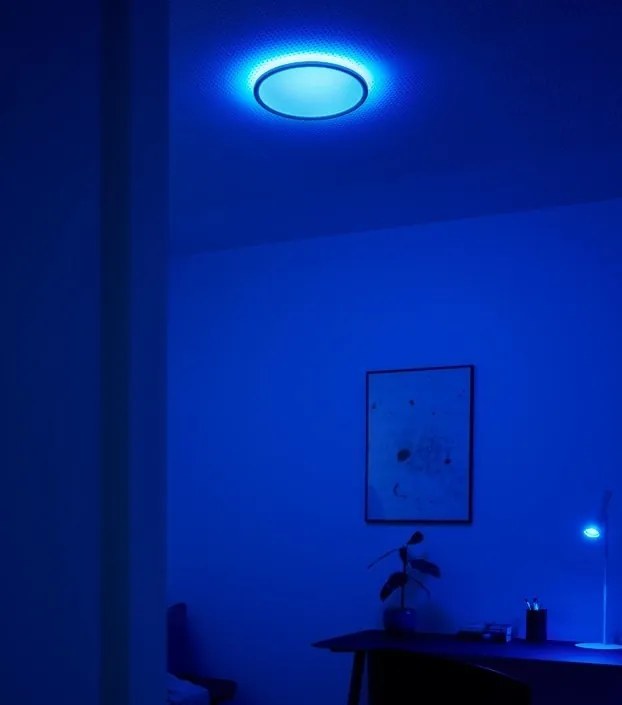 Plafoniera LED RGB CCT, IP54 Liva Smart negru, 36cm