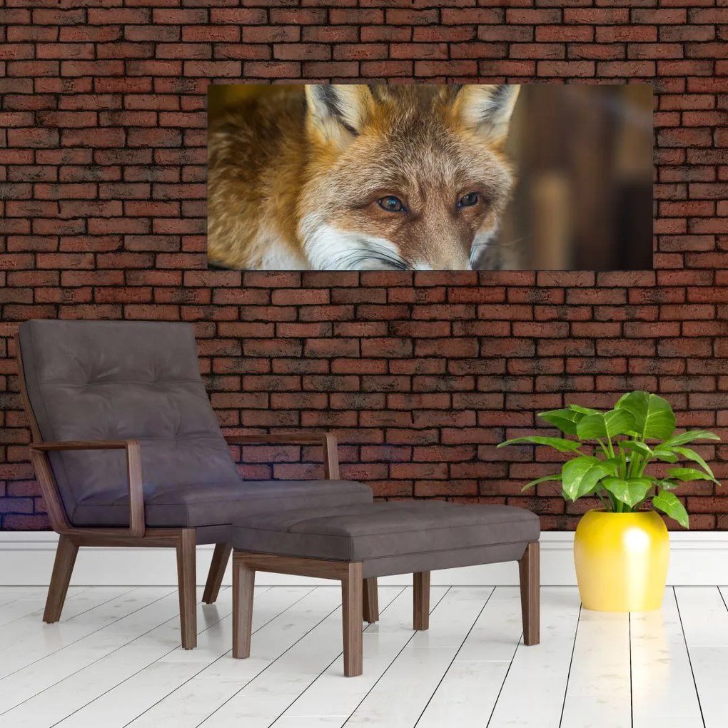 Tablou cu vulpe (120x50 cm)