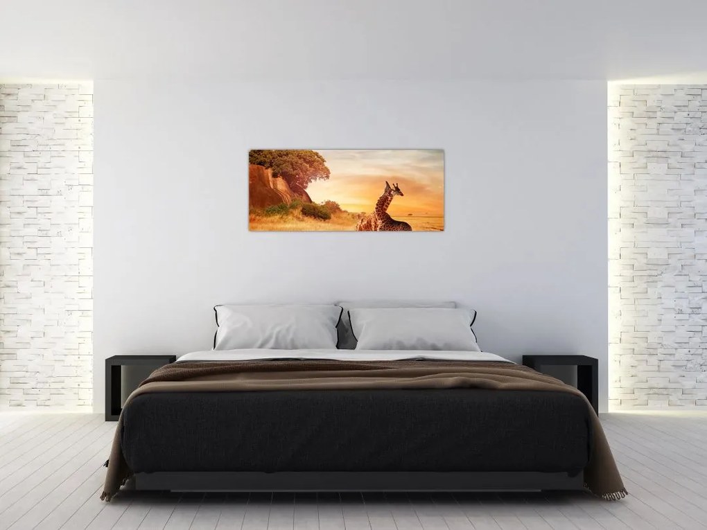 Tablou Girafe în Africa (120x50 cm)