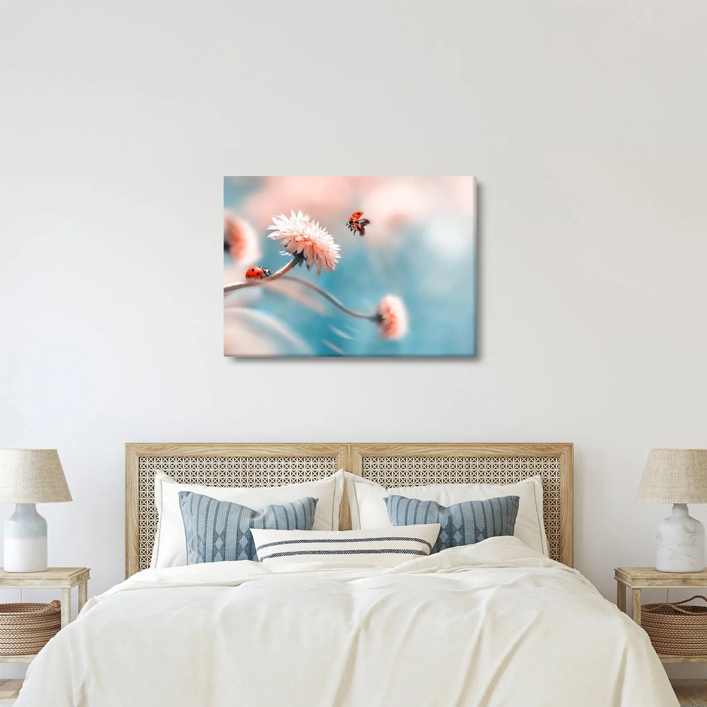 Tablou - Buburuze pe floare (70x50 cm)