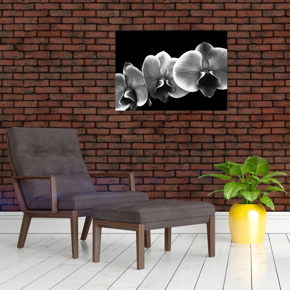 Tablou pe sticlă floare de orhidee (70x50 cm)