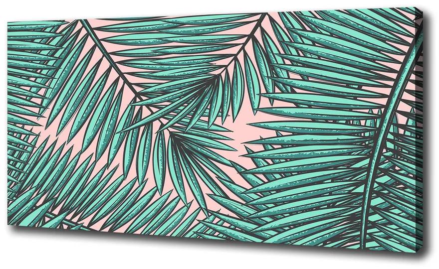 Tablou canvas Frunze de palmier