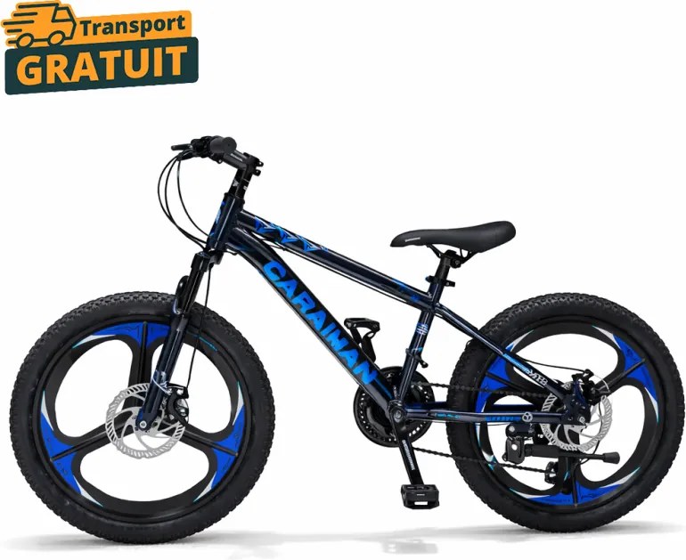 Bicicleta Caraiman, roti 20 inch, cadru otel, frane pe disc, cameleon
