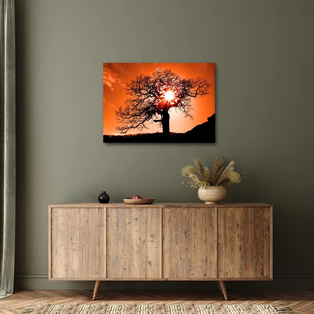 Tablou - Fag la apus de soare (70x50 cm)