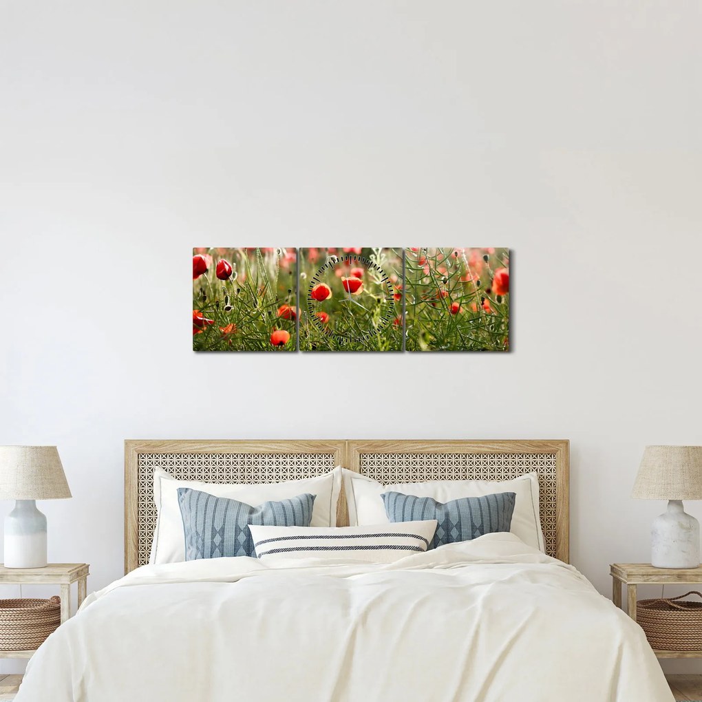 Tablou cu maci (cu ceas) (90x30 cm)