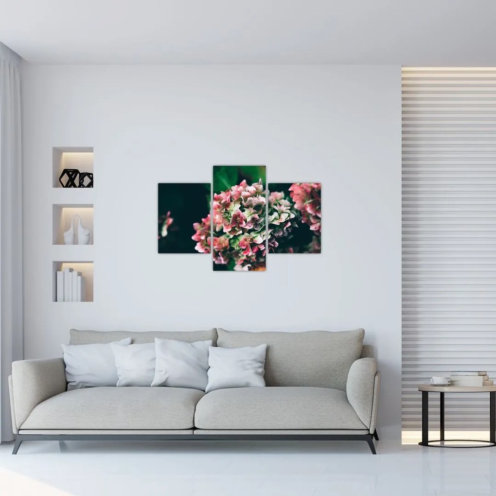 Tablou - Hortensie (90x60 cm)