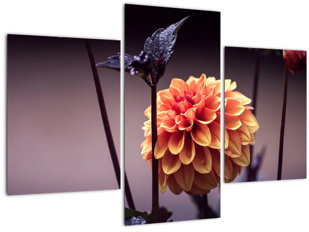 Tablou - Floare (90x60 cm)