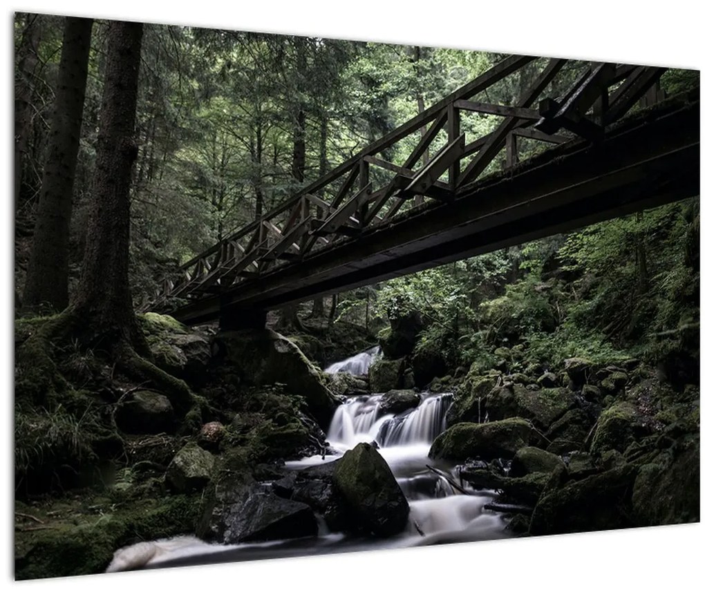 Tablou din pădurea neagră (90x60 cm)