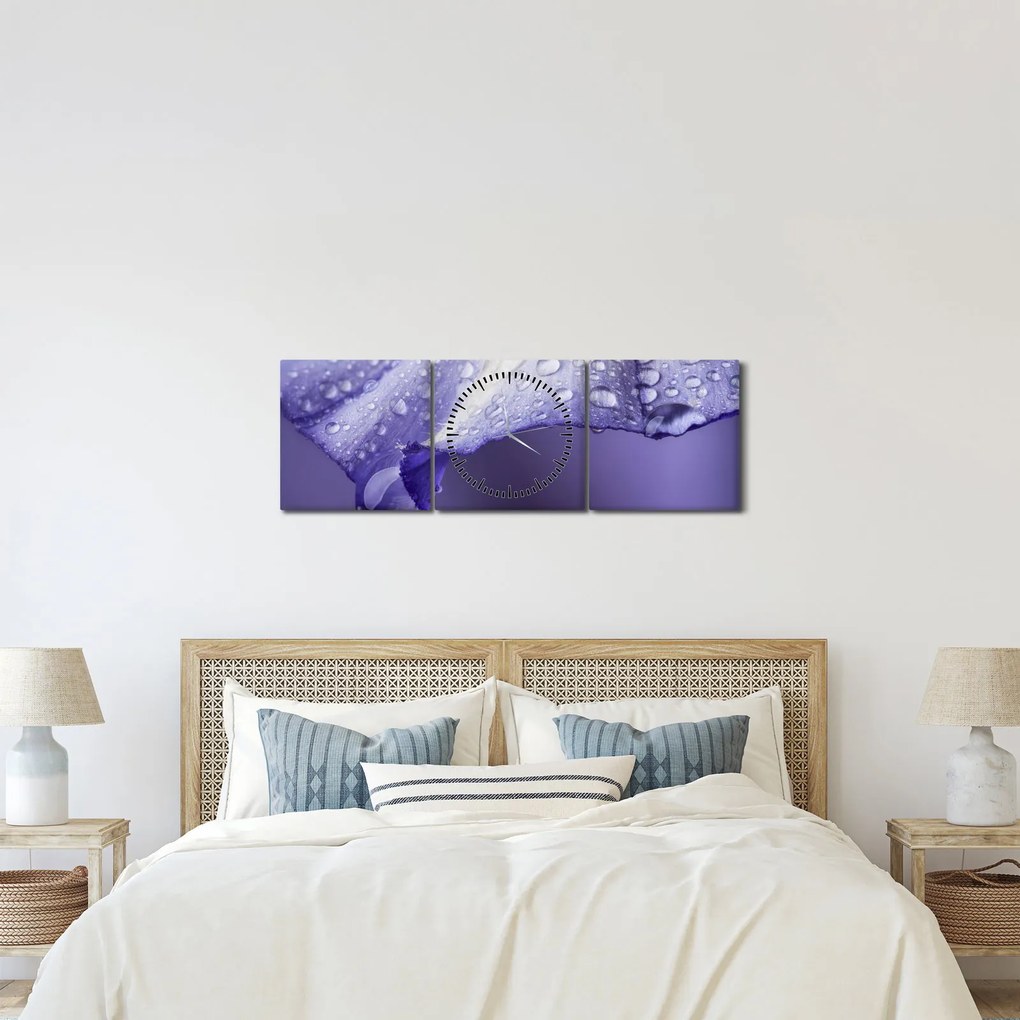 Tablou - Petală cu picături (cu ceas) (90x30 cm)