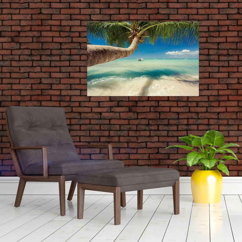 Tablou - Mare curată cu palmier (90x60 cm)