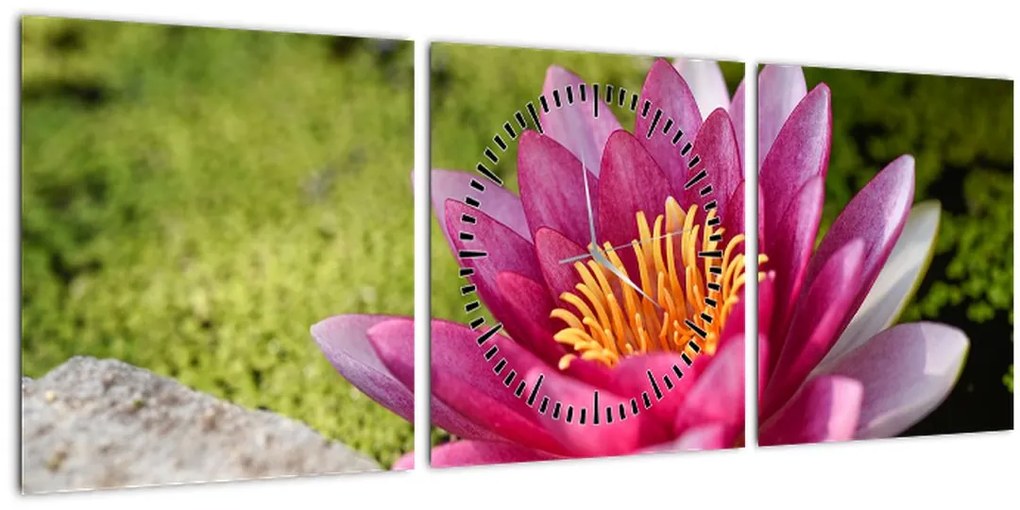 Tablou - Lotus (cu ceas) (90x30 cm)