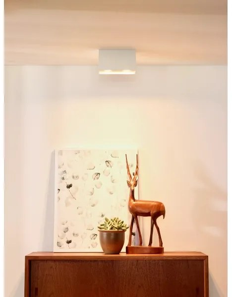 Lucide 09101/02/31 - Lampa spot BODI 2xGU10/50W/230V