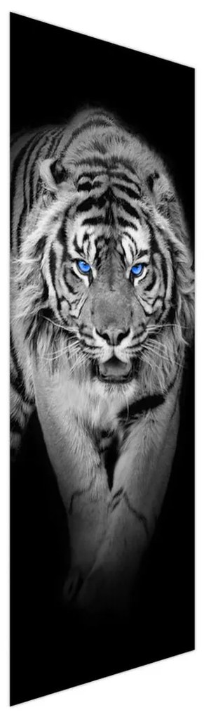 Fotojaluzele R014968R57150 (57x150 cm)
