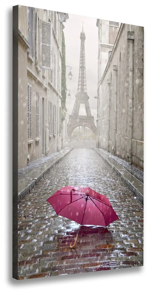 Imprimare tablou canvas Umbrelă Franța