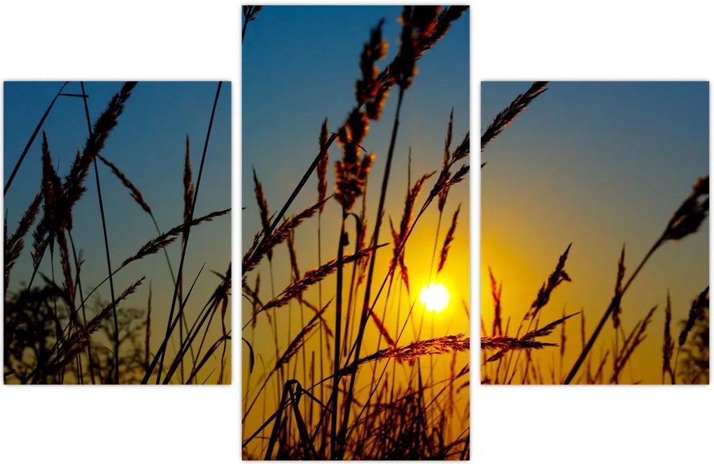 Tablou - Apus de soare pe pajiște (90x60 cm)