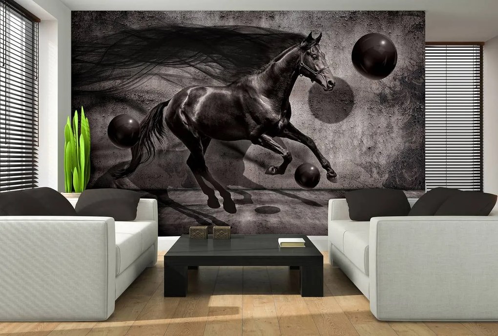 Fototapet - Calul negru (152,5x104 cm)