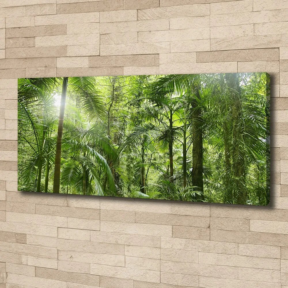 Print pe canvas Padure tropicala