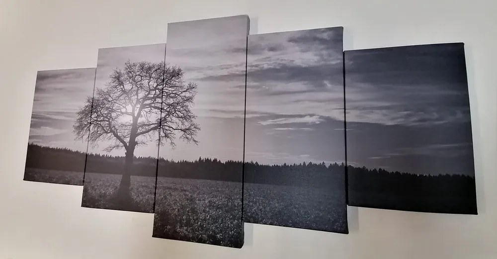 Tablou 5-piese  copacul singuratic în design alb-negru
