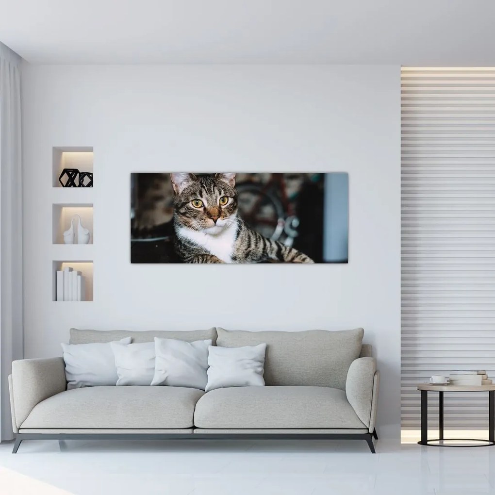 Tablou cu pisica (120x50 cm), în 40 de alte dimensiuni noi