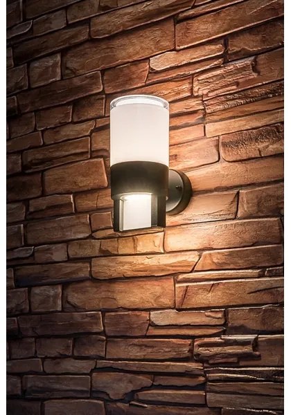 Aplică LED de exterior Rabalux 77130 LEITHA LED/12W/230V IP44