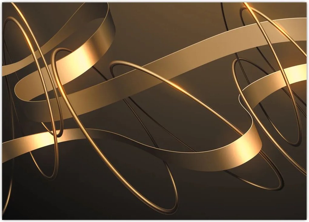 Tablou - Panglici de bronz (70x50 cm)