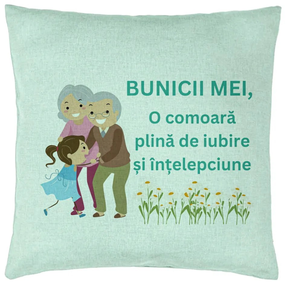 Perna Decorativa pentru Bunici 3, 40x40 cm, Verde Menta, Husa Detasabila, Burduf