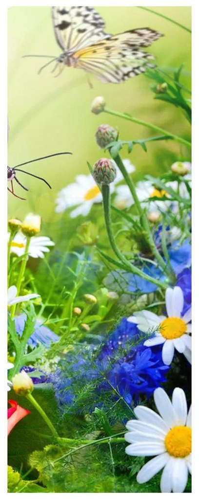 Fotojaluzele R012220R57150 (57x150 cm)