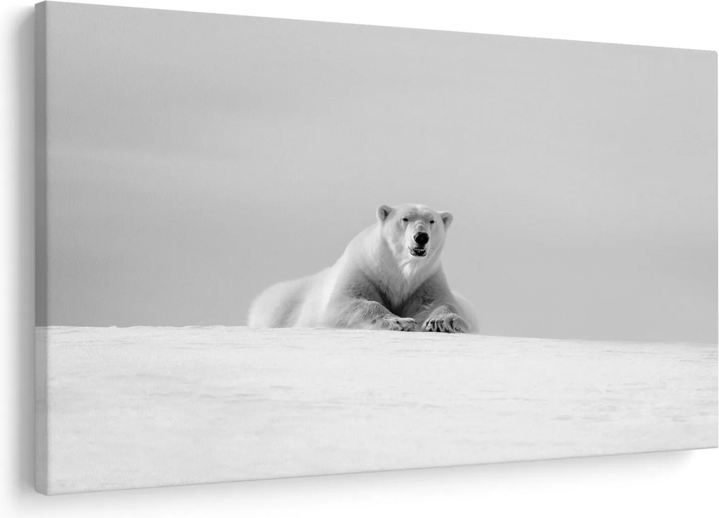 Tablou - Urs polar,alb-negru (90x60 cm)