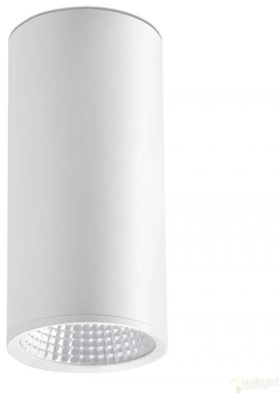 Plafonier, spot alb cu iluminat LED, REL-P 64198