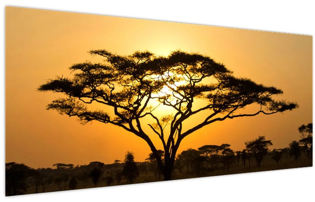 Tablou - Savana africană (120x50 cm)