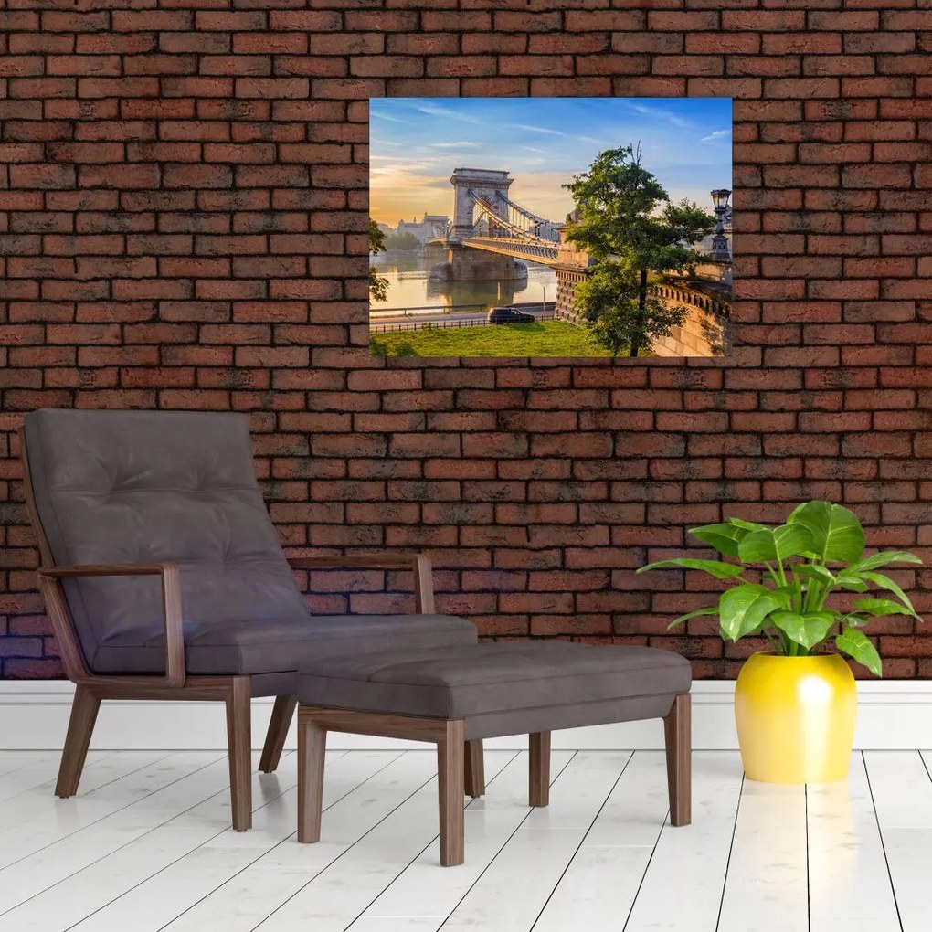 Tablou - Pod peste râu, Budapesta, Ungaria (70x50 cm)