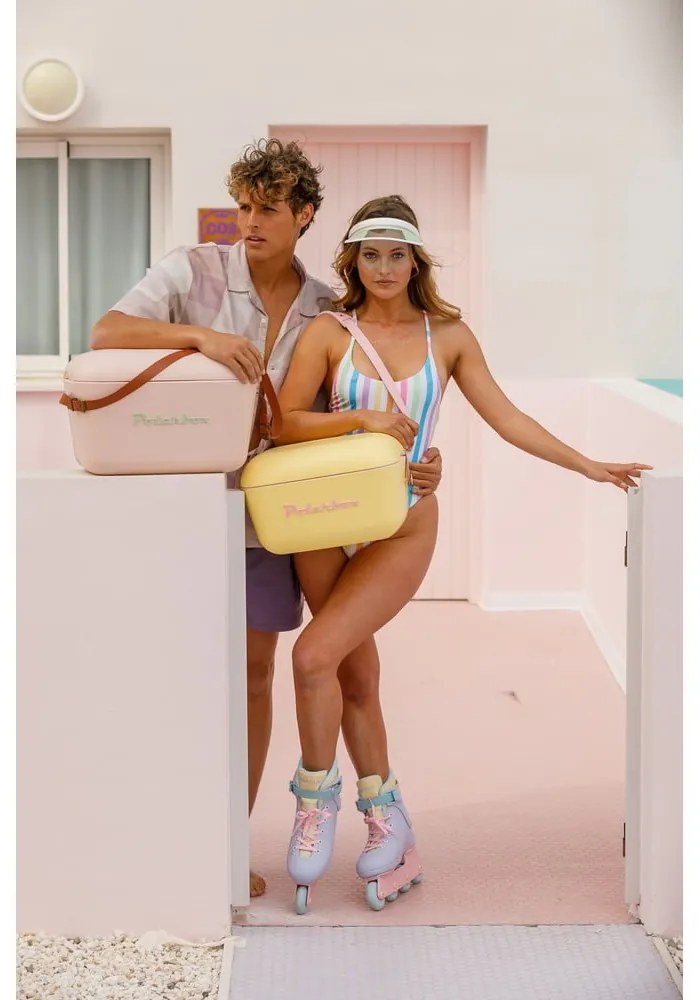 Cutie termoizolantă mov 20 l Classic Rainbow – Polarbox