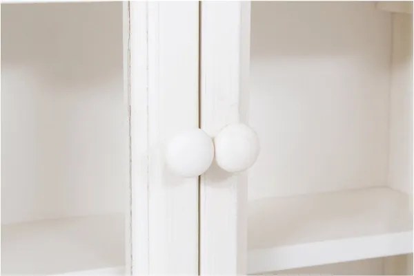 Vitrina suspendata, L48 17 H57 cm