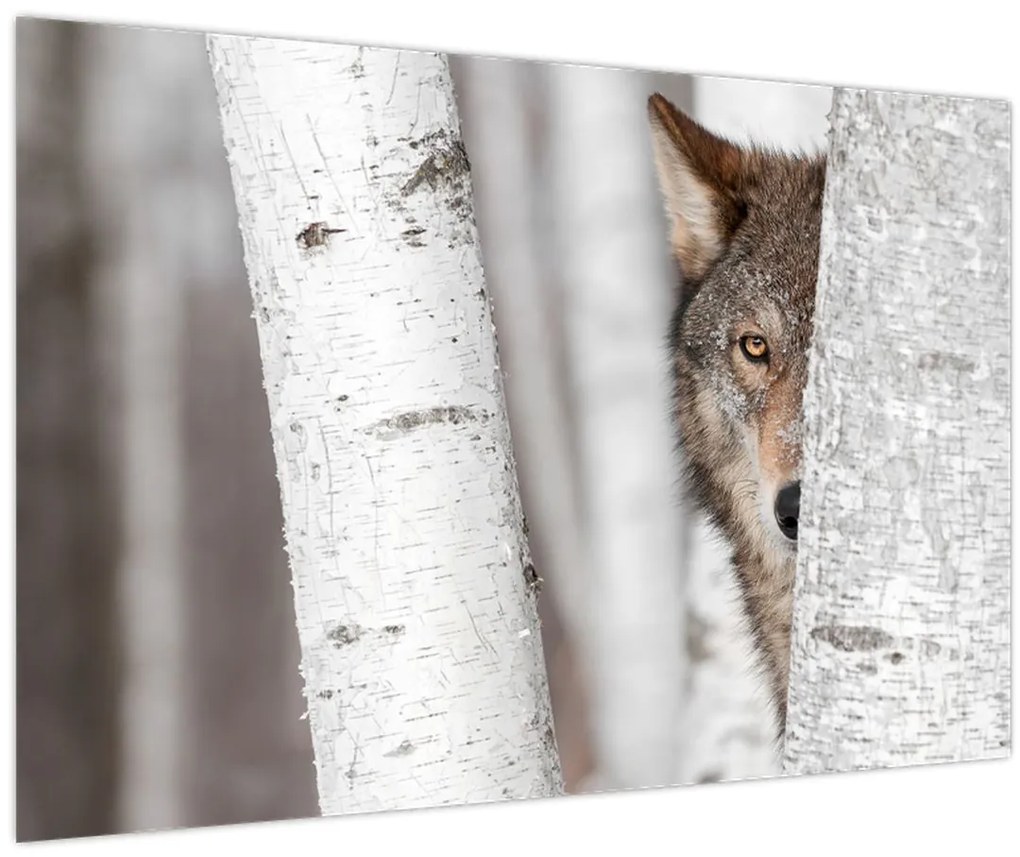 Tablou - Lup (90x60 cm)