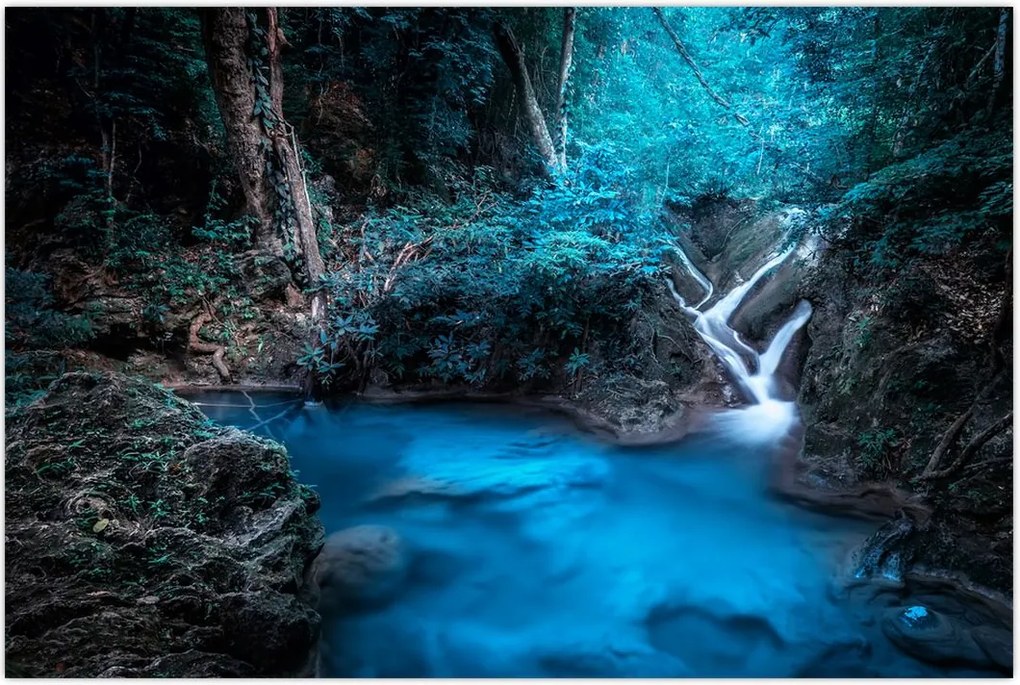 Tablou - Noaptea magică în pădurea tropicală (90x60 cm)