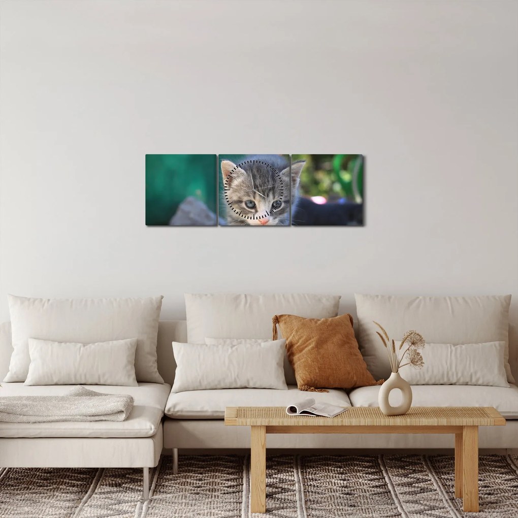 Tablou cu pisicuțe (cu ceas) (90x30 cm)