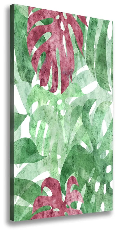 Print pe canvas Monstera