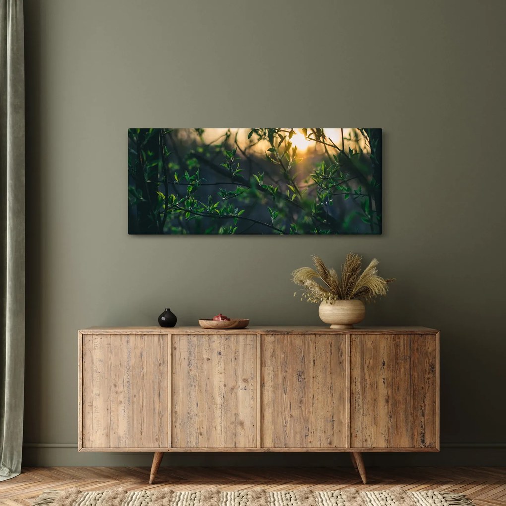 Tablou - Soarele strălucind printre crengile copacilor (120x50 cm)