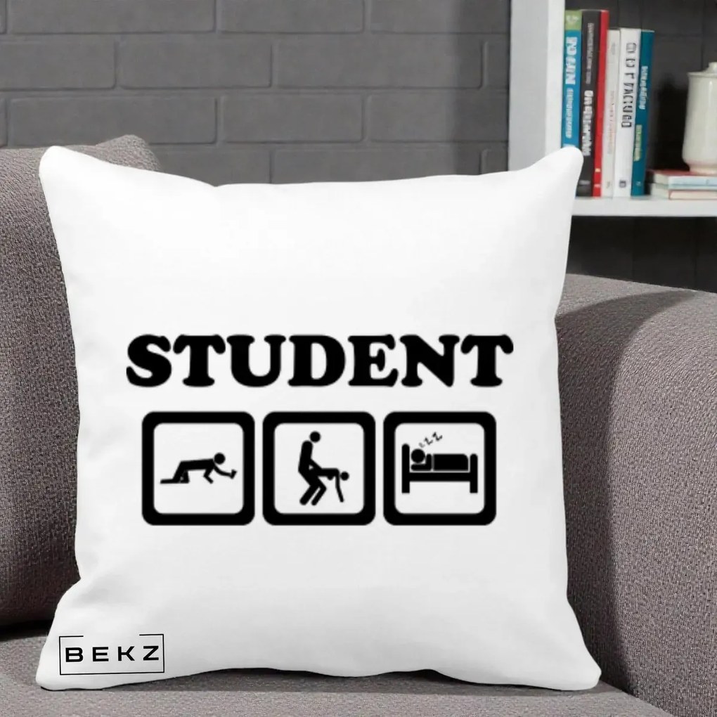 Perna Decorativa Student Life, 40x40 cm, Alba Mata, Husa Detasabila, Perna Inclusa, BEKZ®