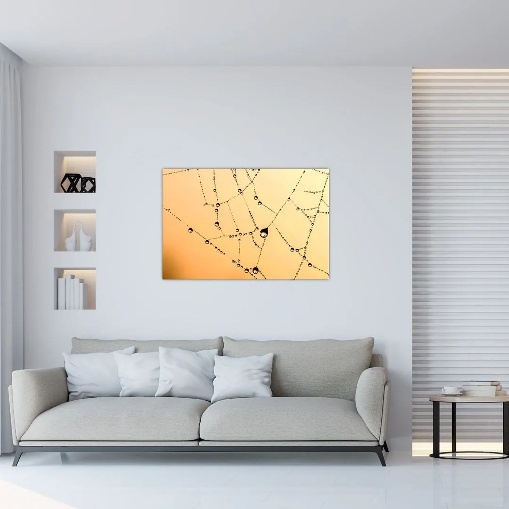 Tablou cu pânză de pâianjen cu rouă (90x60 cm)