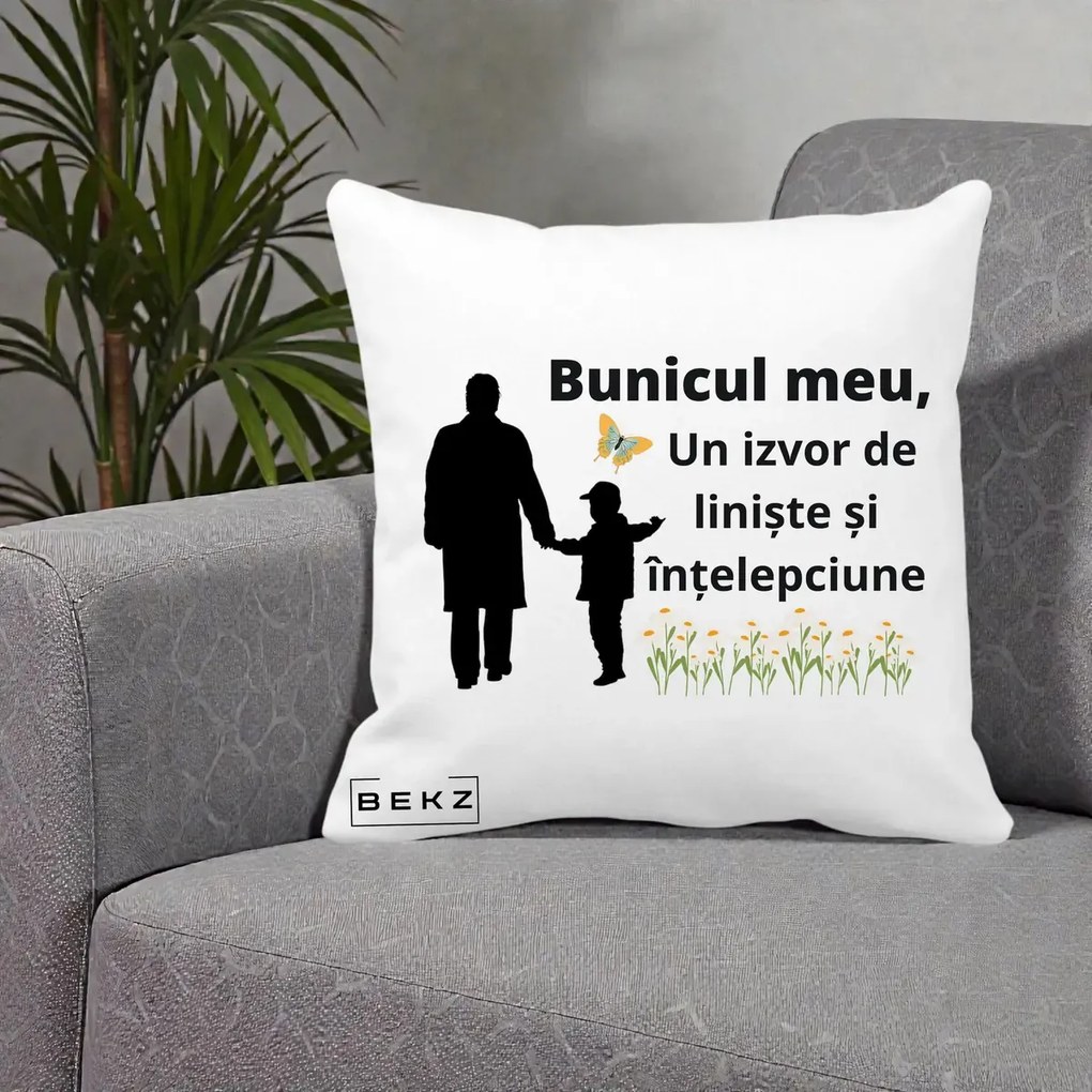 Cadou pentru Bunic - Perna Personalizata Bunicul Meu Izvor de Liniste cu Fluture si Baietel, 40x40 cm, Alba Mata, Husa Detasabila, Perna Inclusa, BEKZ®