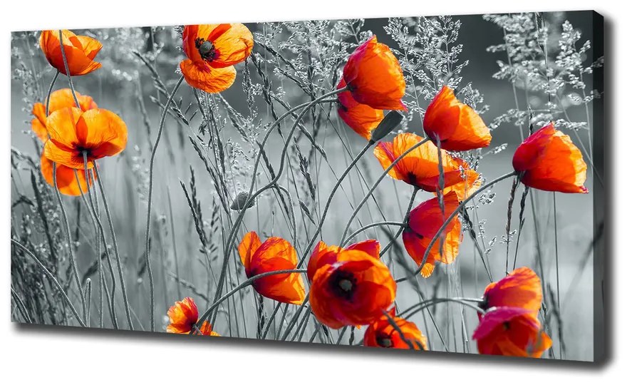 Print pe pânză Wildflowers maci