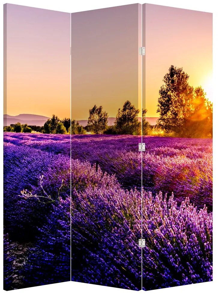 Paravan - Câmp de lavanda (126x170 cm)